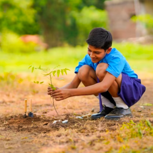 Trees for Teachers