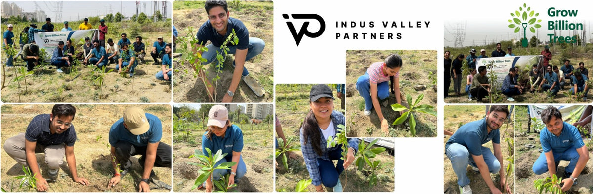 Indus Valley Partners: Empowering Employees Through Urban Forest Creation
