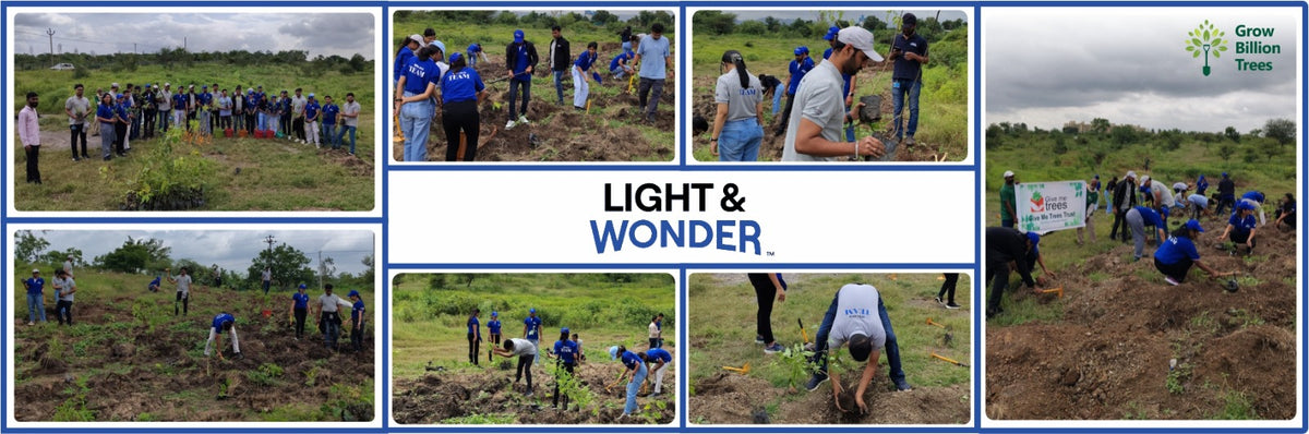 Building a Greener Future: Light & Wonder's Urban Forest Initiative for Sustainability
