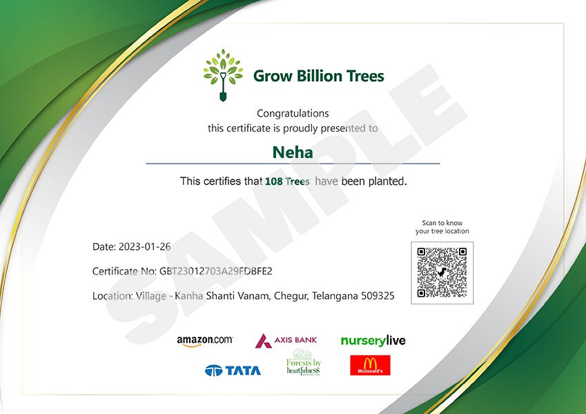 Trees for Navratri