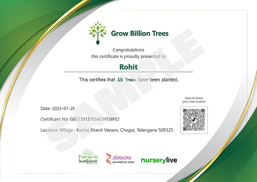 Trees for Independence Day