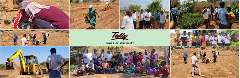 Tally Solutions CSR Project - Agro Forestry in Harihara Village