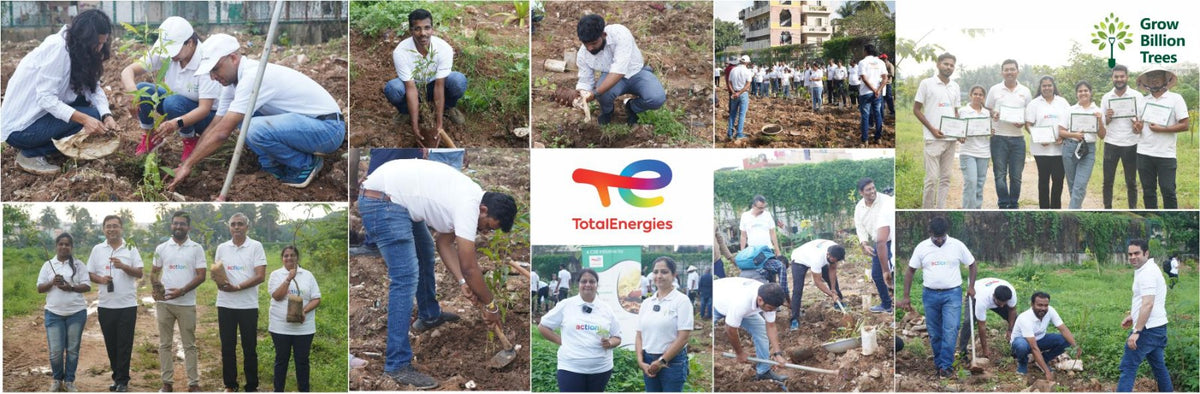 TotalEnergies Brings Together Teams to Grow an Urban Micro Forest