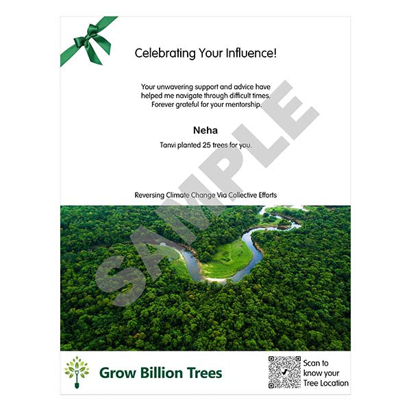 Trees for Mentor