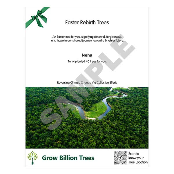 Trees on Easter for Renewal and Forgiveness
