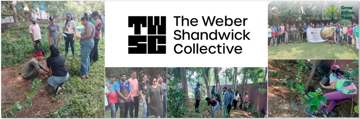 "Urban Green, Team Spirit: Weber Shandwick Mumbai’s Tree Plantation Initiative"