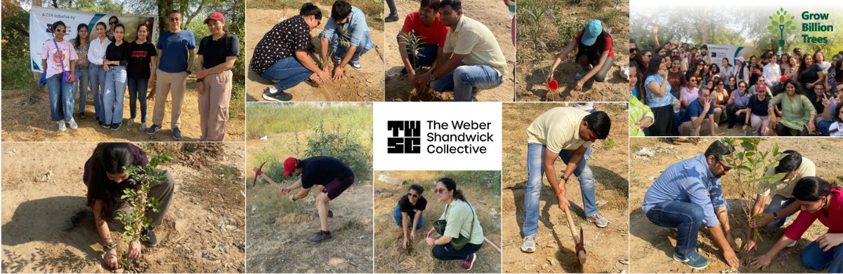 "Weber Shandwick Gurugram: Cultivating Urban Forests for Employee Bonding"