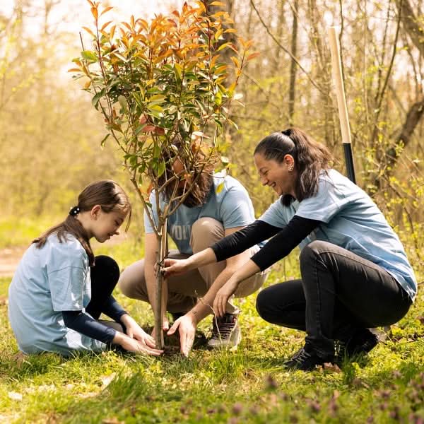 Trees for a Greener Tomorrow - by Mahindra Lifespaces