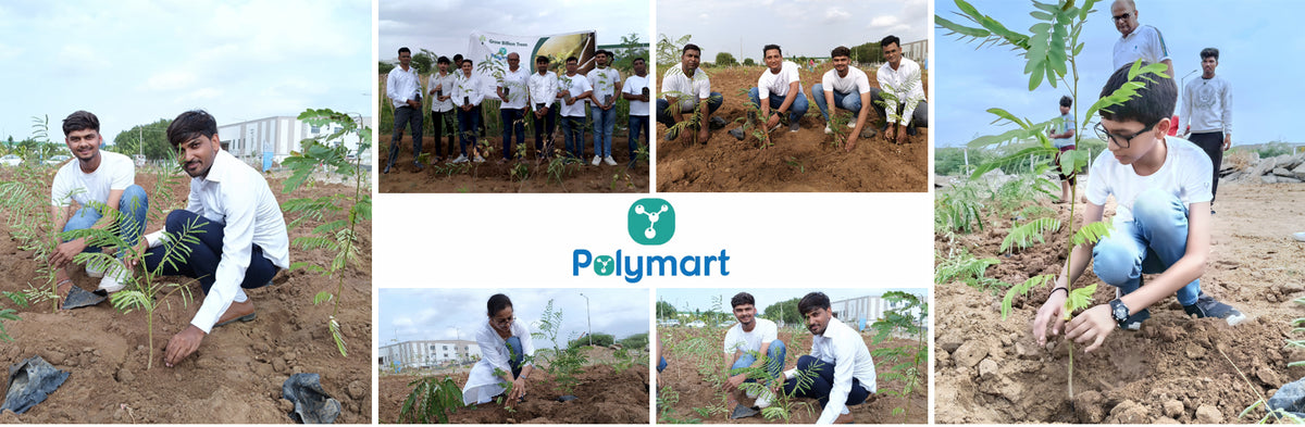 Polymart Plants the Future: Engaging Employees Through Urban Forestry