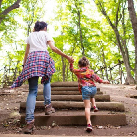 Plant4Mother: Honor Mom with Meaningful Tree Planting Gift
