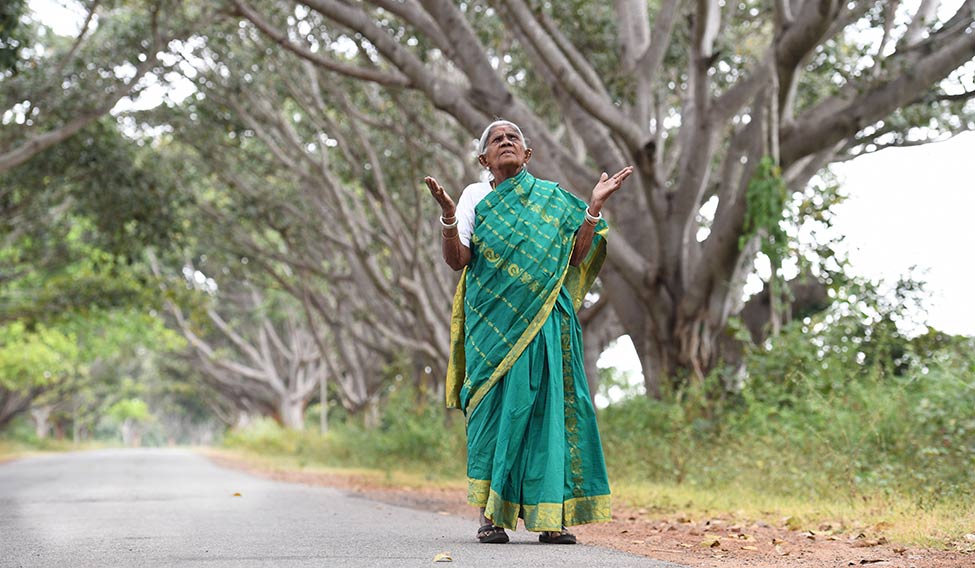 The 'Tree Woman' of India: The Inspiring Story of Saalumarada Thimmakka and her Quest to Green the World