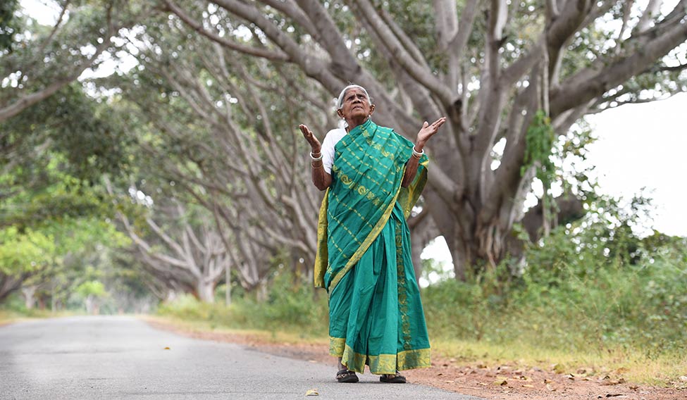 Saalumarada Thimmakka: The Inspiring Story of the 'Tree Woman' of India