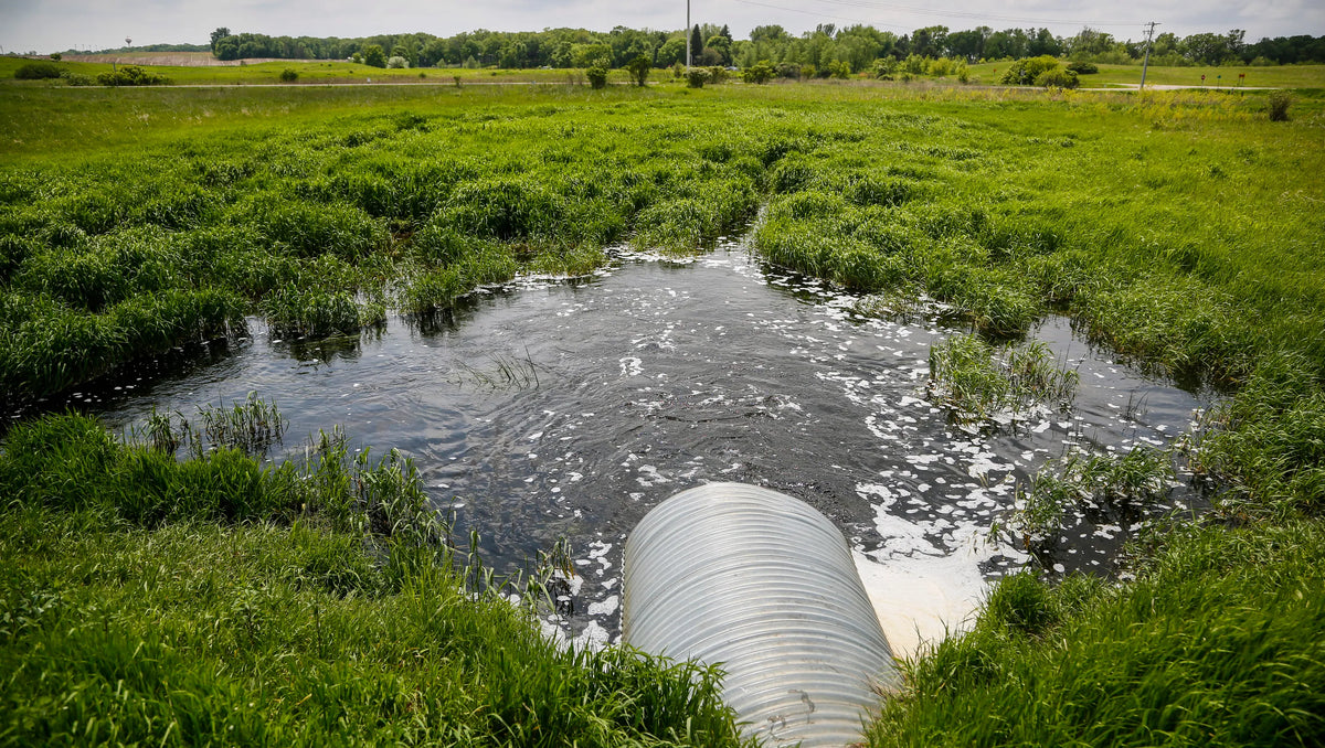 Trees Against Water Pollution: Nature's Solution to Clean Water