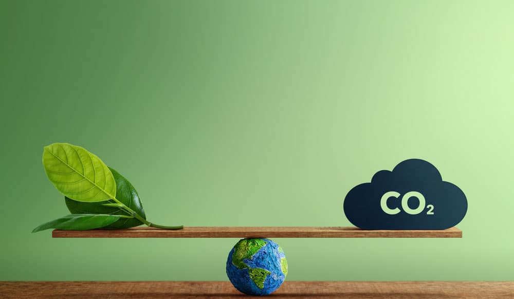 Carbon Footprints of Your Organization: Calculate & Reduce
