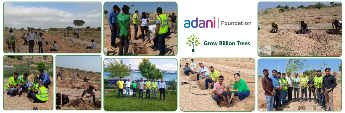 Adani Group pledges 100 million trees with 1t.org to restore coasts and communities