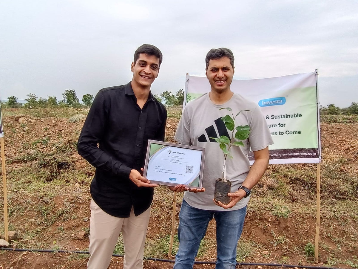 Importance of Green Corporate Gifting: Sustainable Business Impact