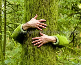 Chipko Women of Uttarakhand: Hugging Forests, Protecting Nature, and Planting the Seeds of a Sustainable Future