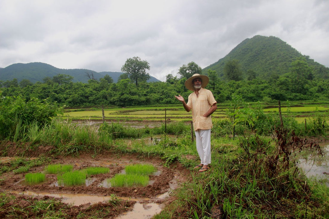 Debal Deb Tree: Preserving Biodiversity and Reviving Nature’s Heritage Through Sustainability