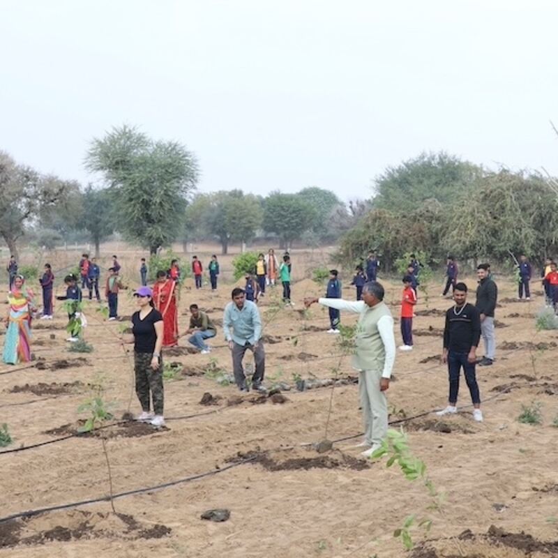 People planting saplings across an open plantation site