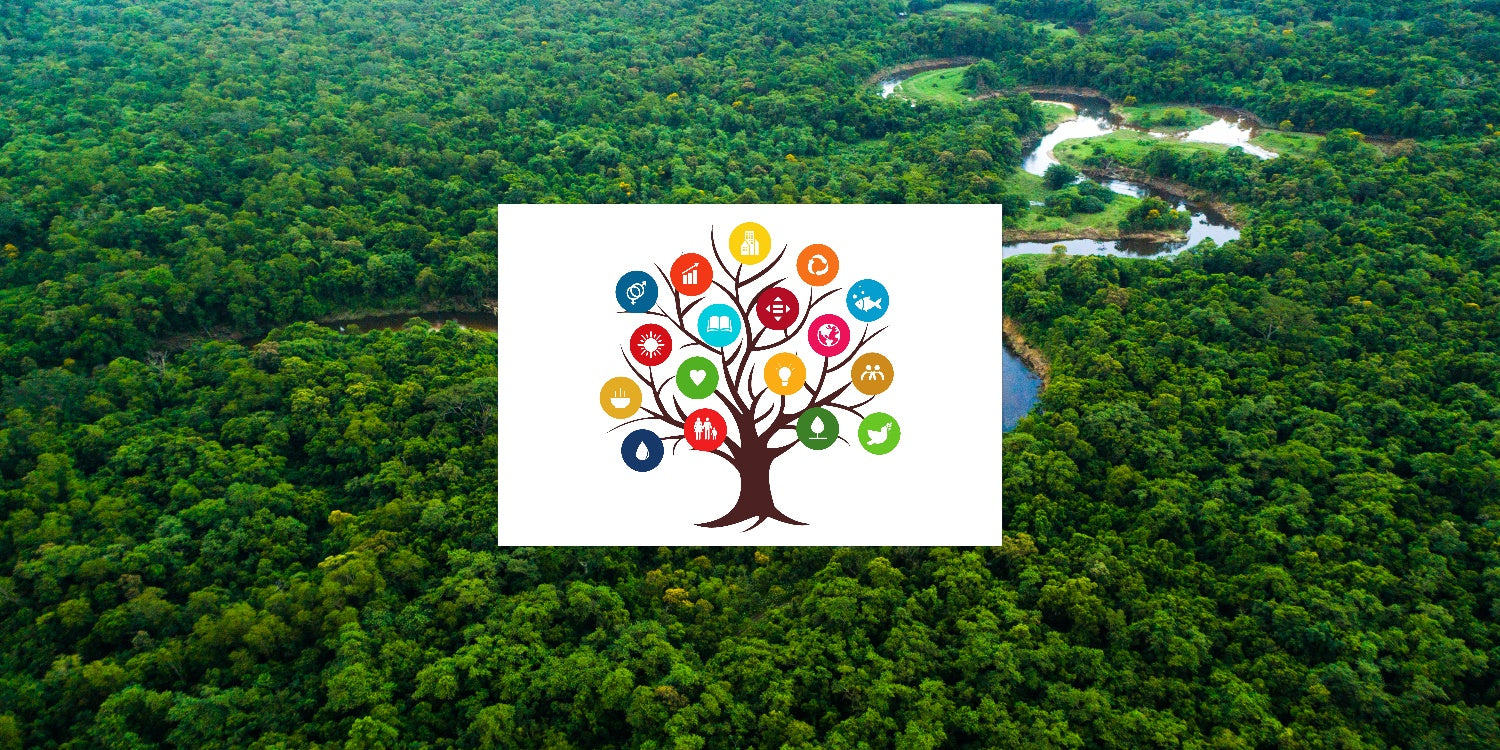 Group Development Trees Nature's Blueprint: Trees Support All 17 SDGs Guide – Grow Billion Trees