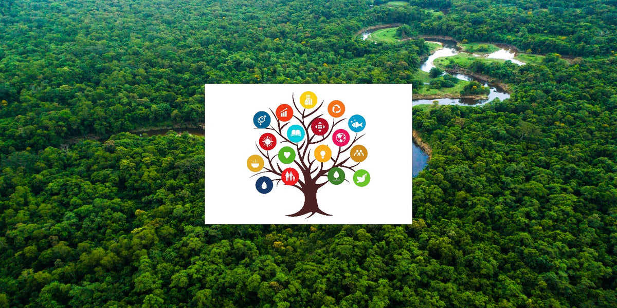 Nature's Blueprint: How Trees Support All 17 SDGs - 2026 Guide