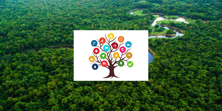 Nature's Blueprint: Trees Support All 17 SDGs Guide – Grow Billion Trees