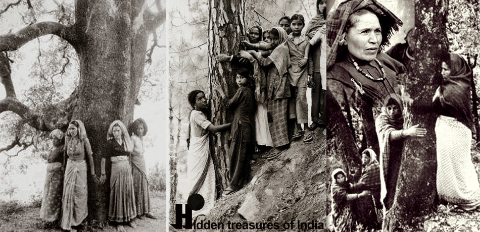 Amrita Devi Bishnoi: The Environmental Warrior Who Died for Trees