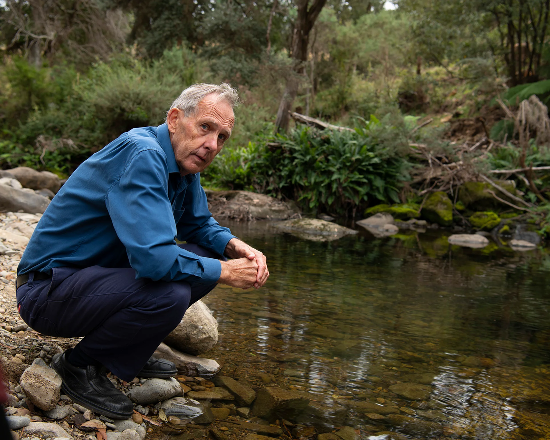 Bob Brown: The Australian Activist Who Made Green Politics Mainstream