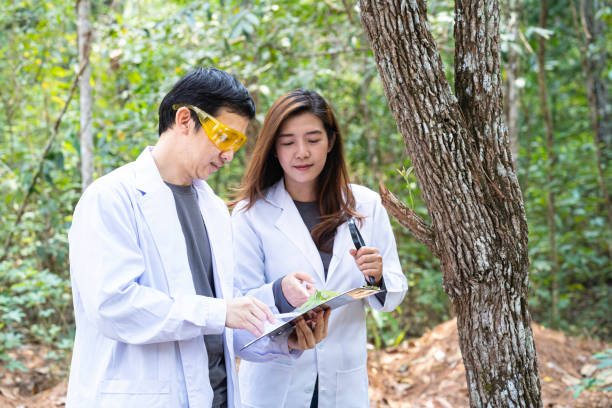 Prescribing Green: The Vital Role of Tree Plantation on Doctor's Day