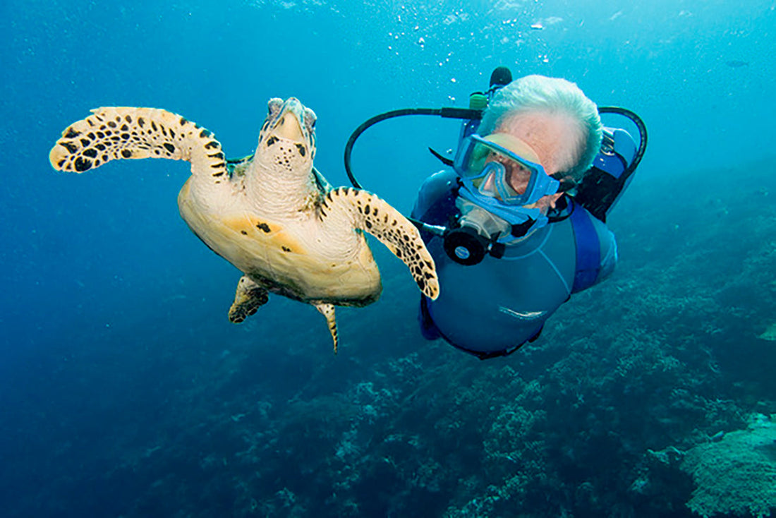 Jacques Cousteau: The Ocean Explorer Who Showed Us the Blue Planet’s Beauty