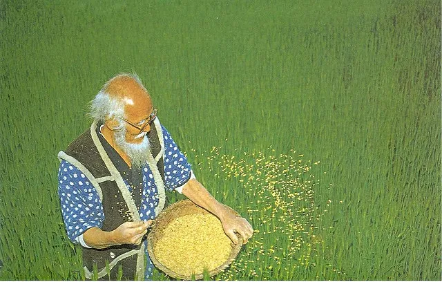 Masanobu Fukuoka: The Pioneer of Natural Farming and Sustainable Agriculture