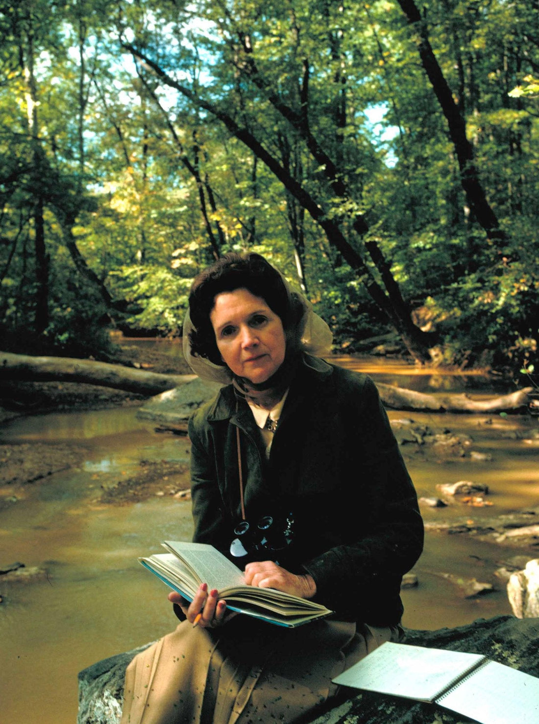 Rachel Carson: The Silent Spring Author Who Sparked the Environmental Movement