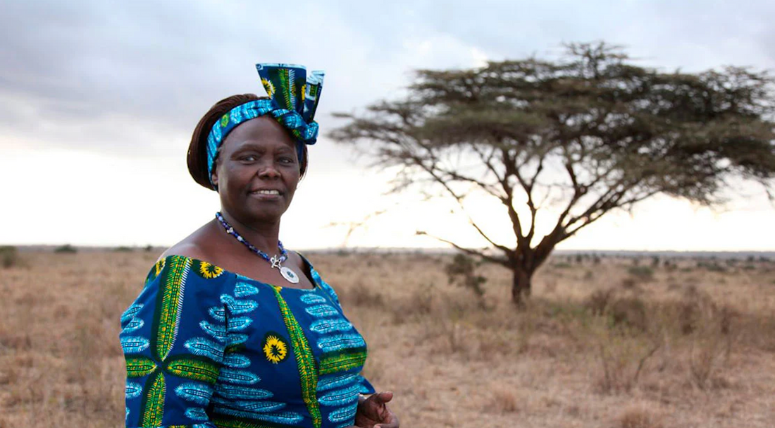 Wangari's Trees of Peace - Girl who got Noble prize for planting trees