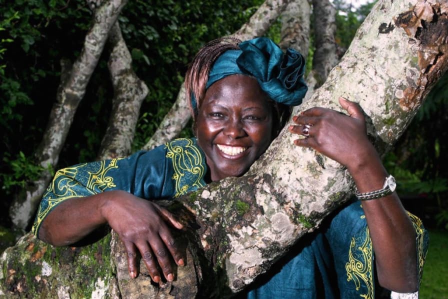 Wangari Maathai: The Nobel Laureate Who Planted Trees to Empower Women