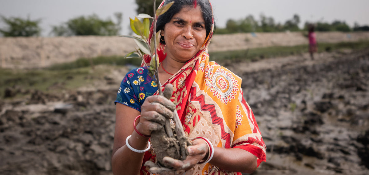 Environmental Champions: Women Leading Climate Action Worldwide