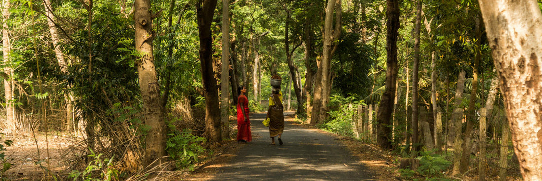 Gundu thopus : Reviving Karnataka's Sacred Community Forests