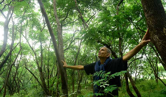 Madhav Gadgil Tree: Pioneering Eco-Conservation and Championing Sustainable Environmental Solutions