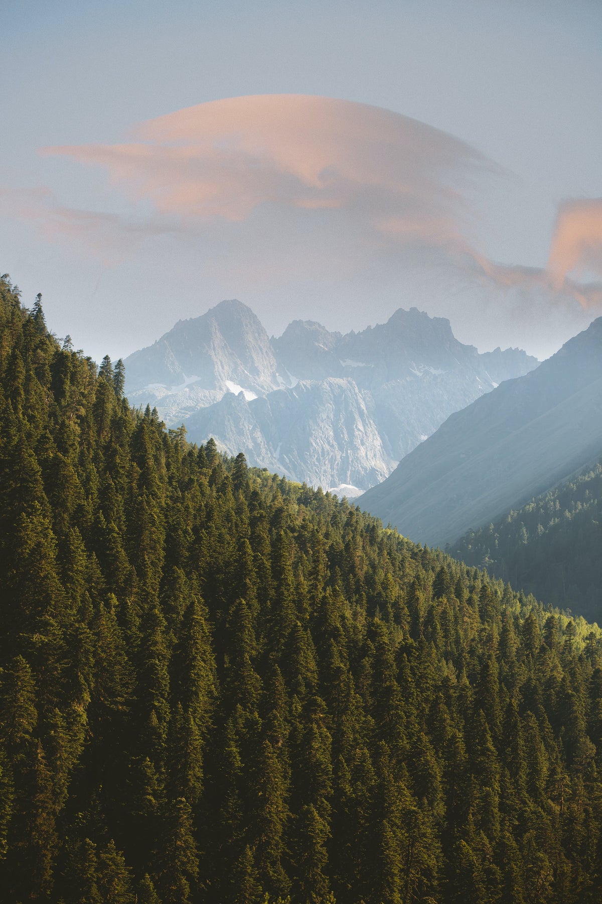 The Power of Tree Planting: Growing a Greener Tomorrow