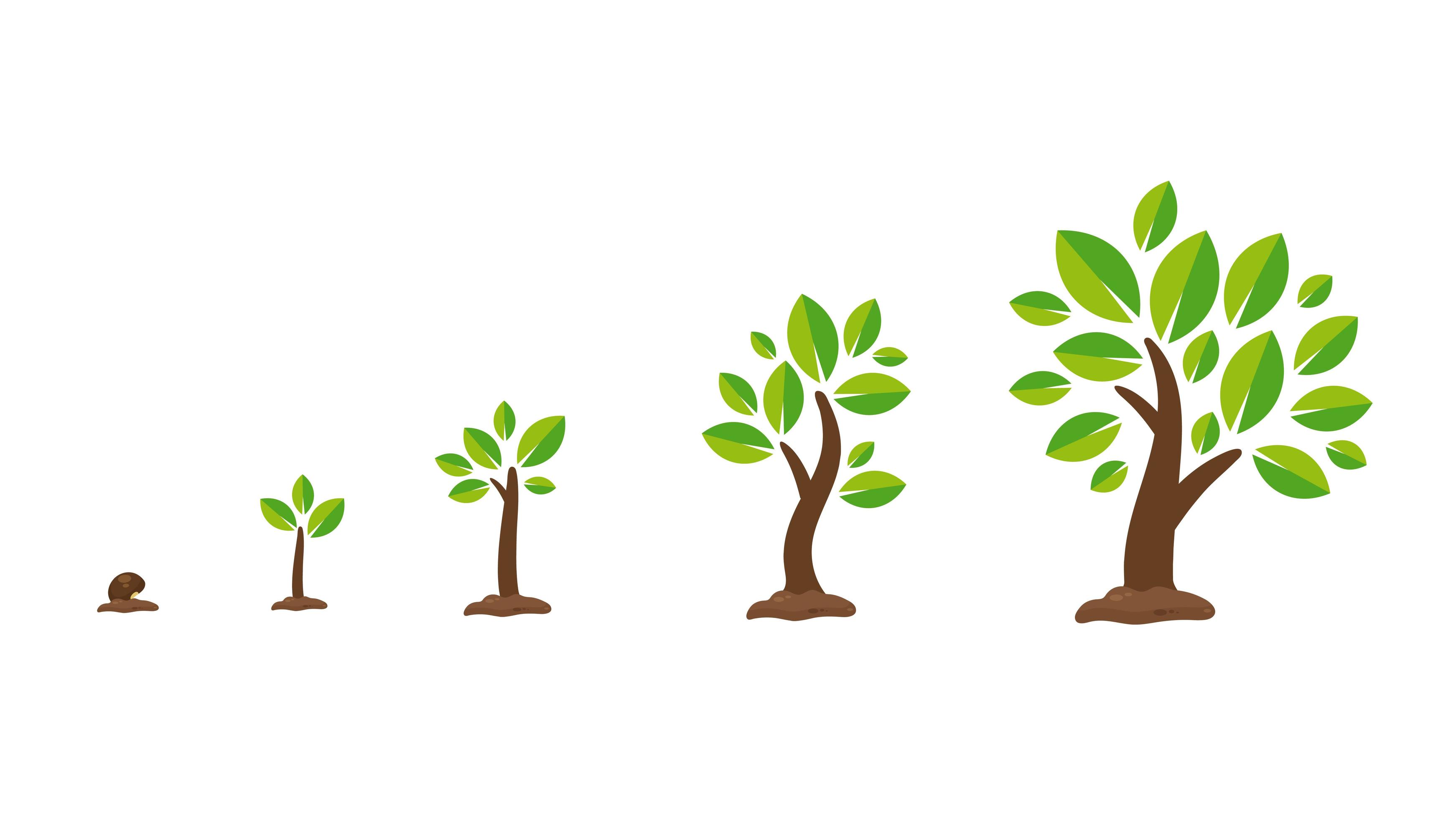 Documenting Tree Plantation Triumphs in India: Success Stories – Grow ...