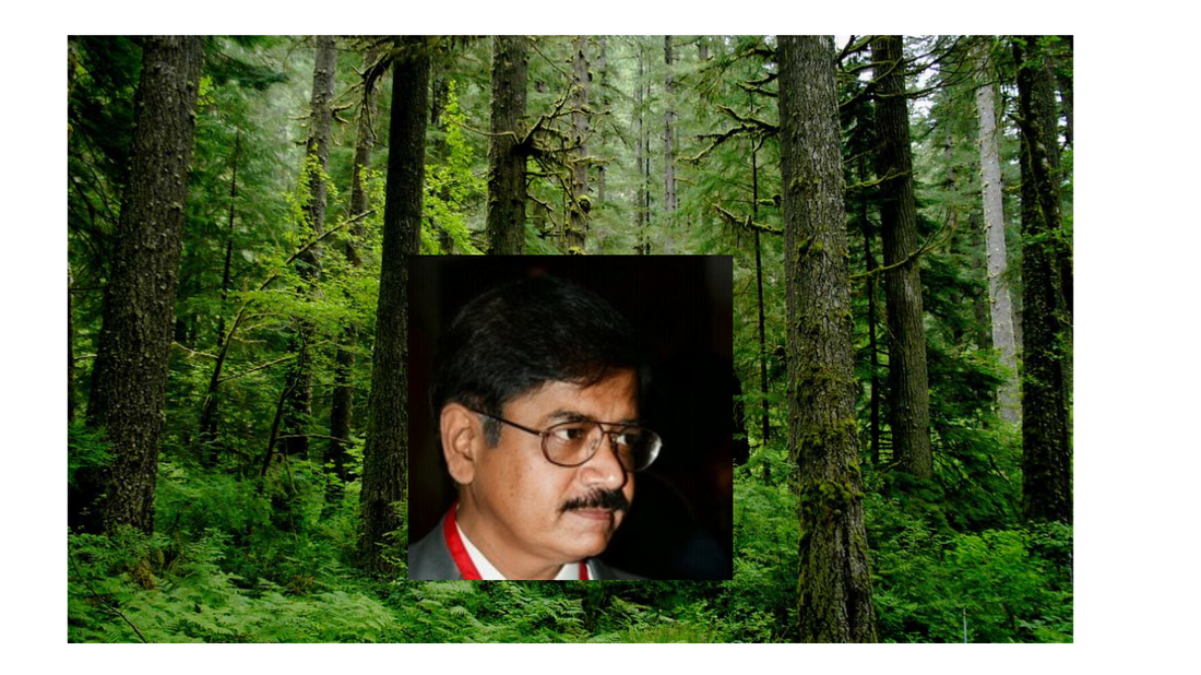 Rajesh Gopal Tree: Championing Green Innovation and Leading the Path to Environmental Sustainability