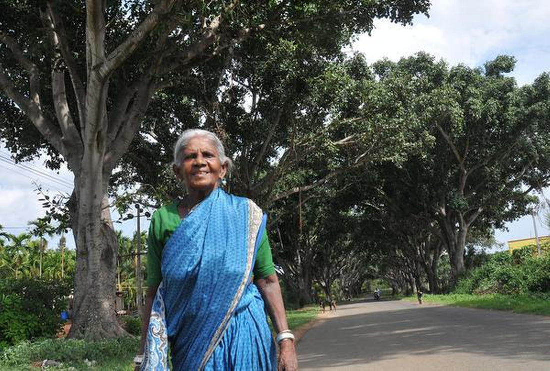 Salumarada Thimmakka Tree: A Living Legacy of Environmental Heroism and Sustainable Green Revolution