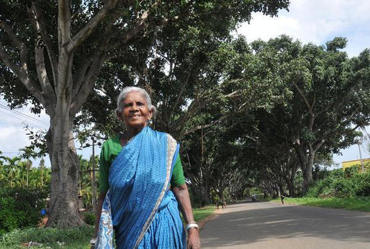 Salumarada Thimmakka Tree: A Living Legacy of Environmental Heroism and Sustainable Green Revolution