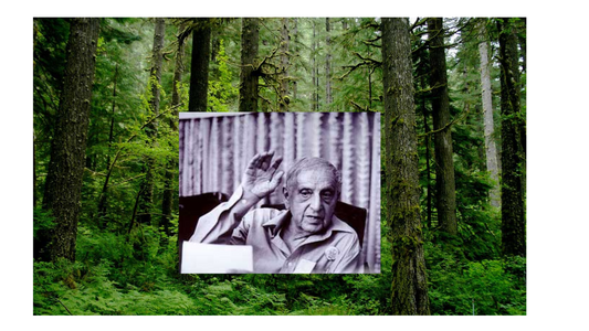 S. P. Godrej Tree: Pioneering a Legacy of Green Innovation and Environmental Sustainability