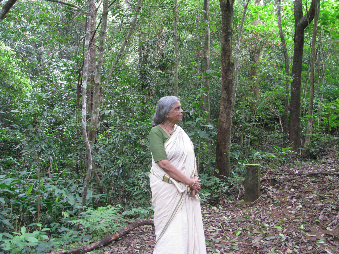 Sugathakumari Tree: Nurturing Poetry, Protecting Forests, and Inspiring a Greener Tomorrow