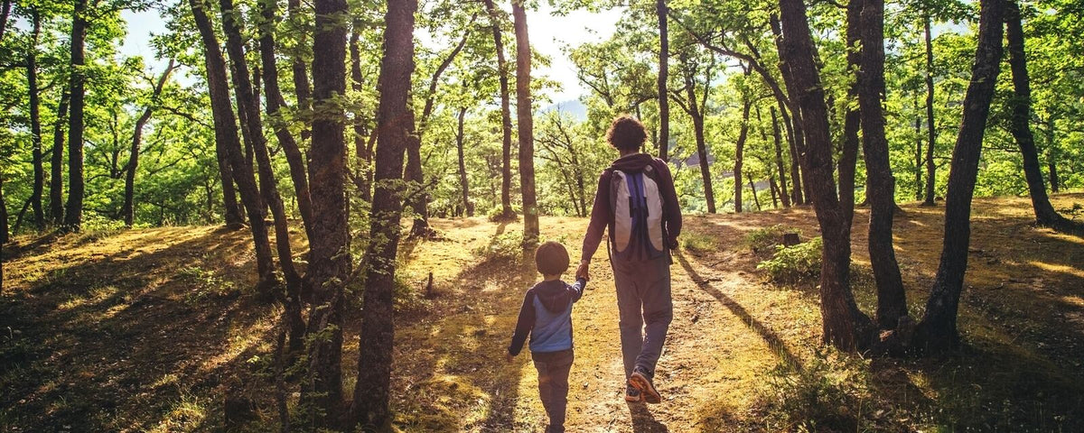 Parent and child walking through a sunlit urban forest