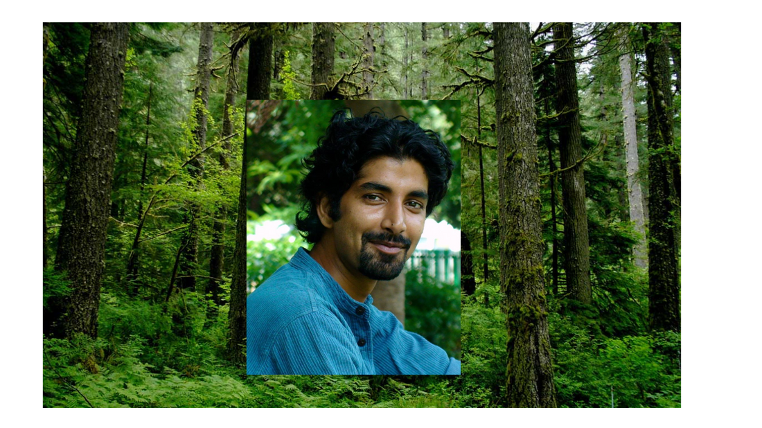 Vimlendu Jha Tree: Leading the Charge for a Greener Planet Through Action and Advocacy