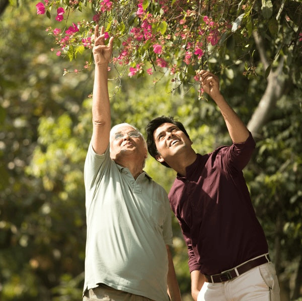 Tree Plantation on Father's Day – Grow Billion Trees