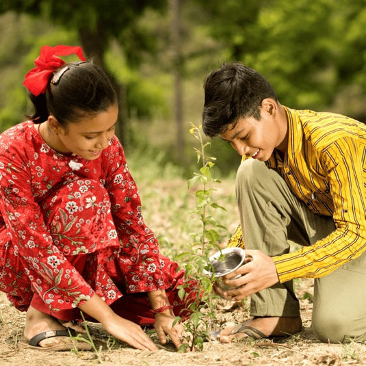 Tree Plantation in India – Grow Billion Trees