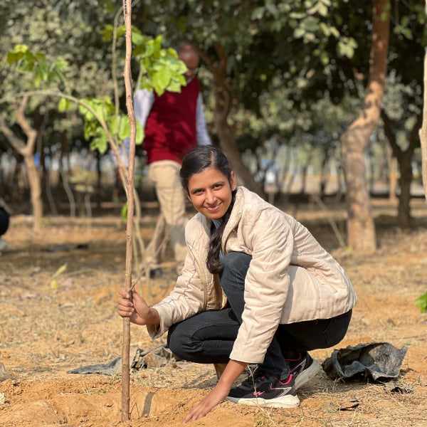 Ber Tree: Exploring the Riches of the Ber Tree – Grow Billion Trees
