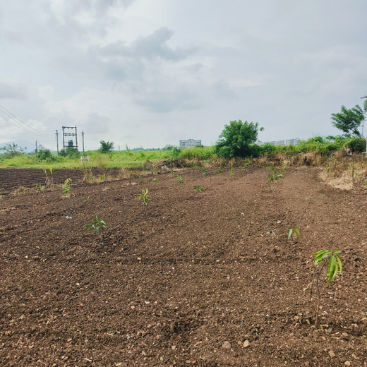 Rooted in Teamwork: KBR's Employee Engagement through Tree Plantation – 6 months